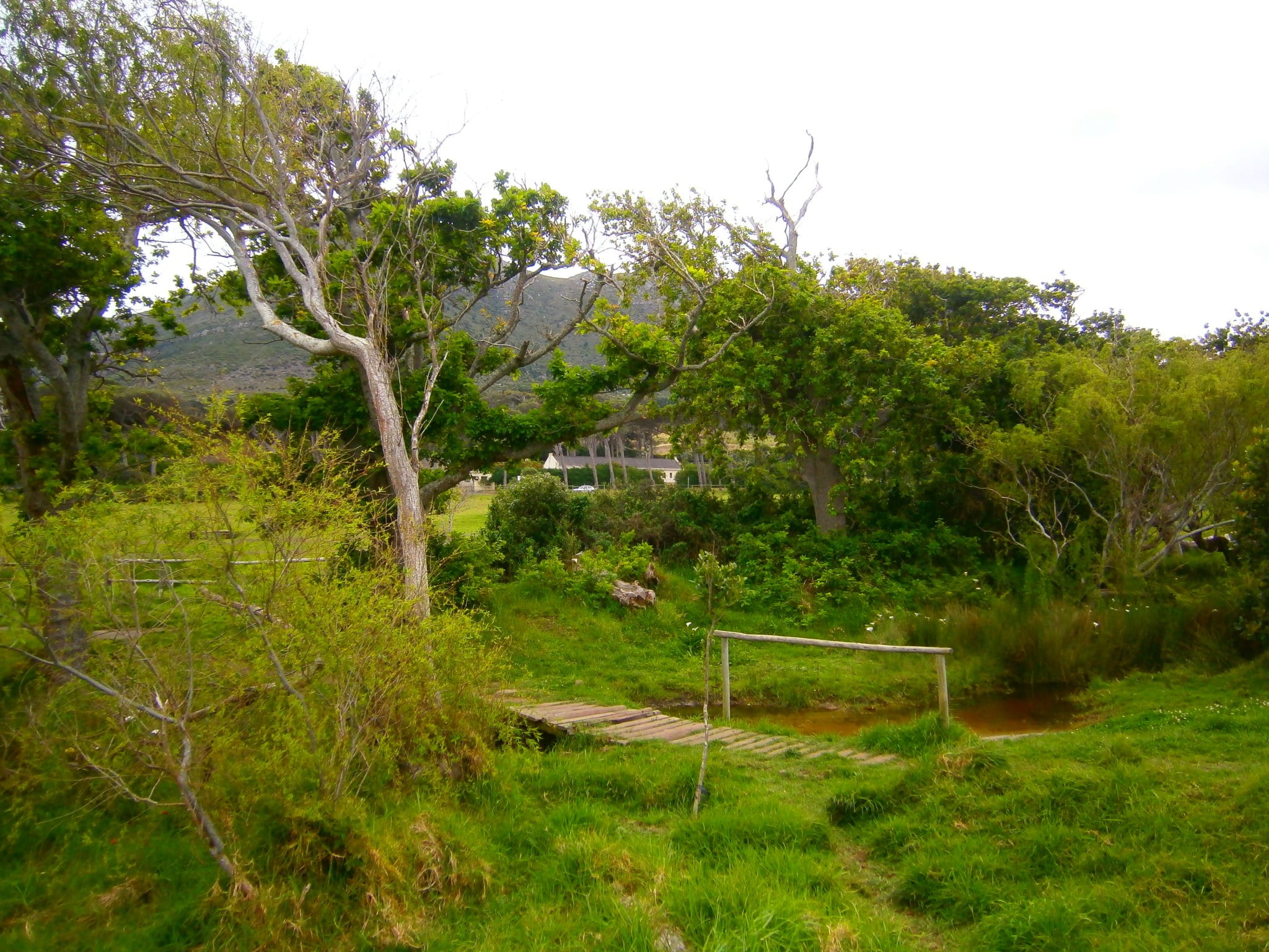 Noordhoek Common