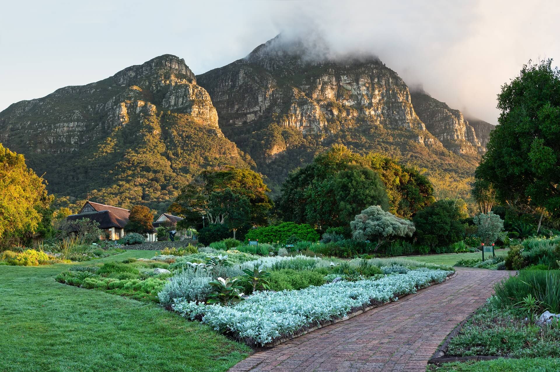 Explore Kirstenbosch Botanical Gardens