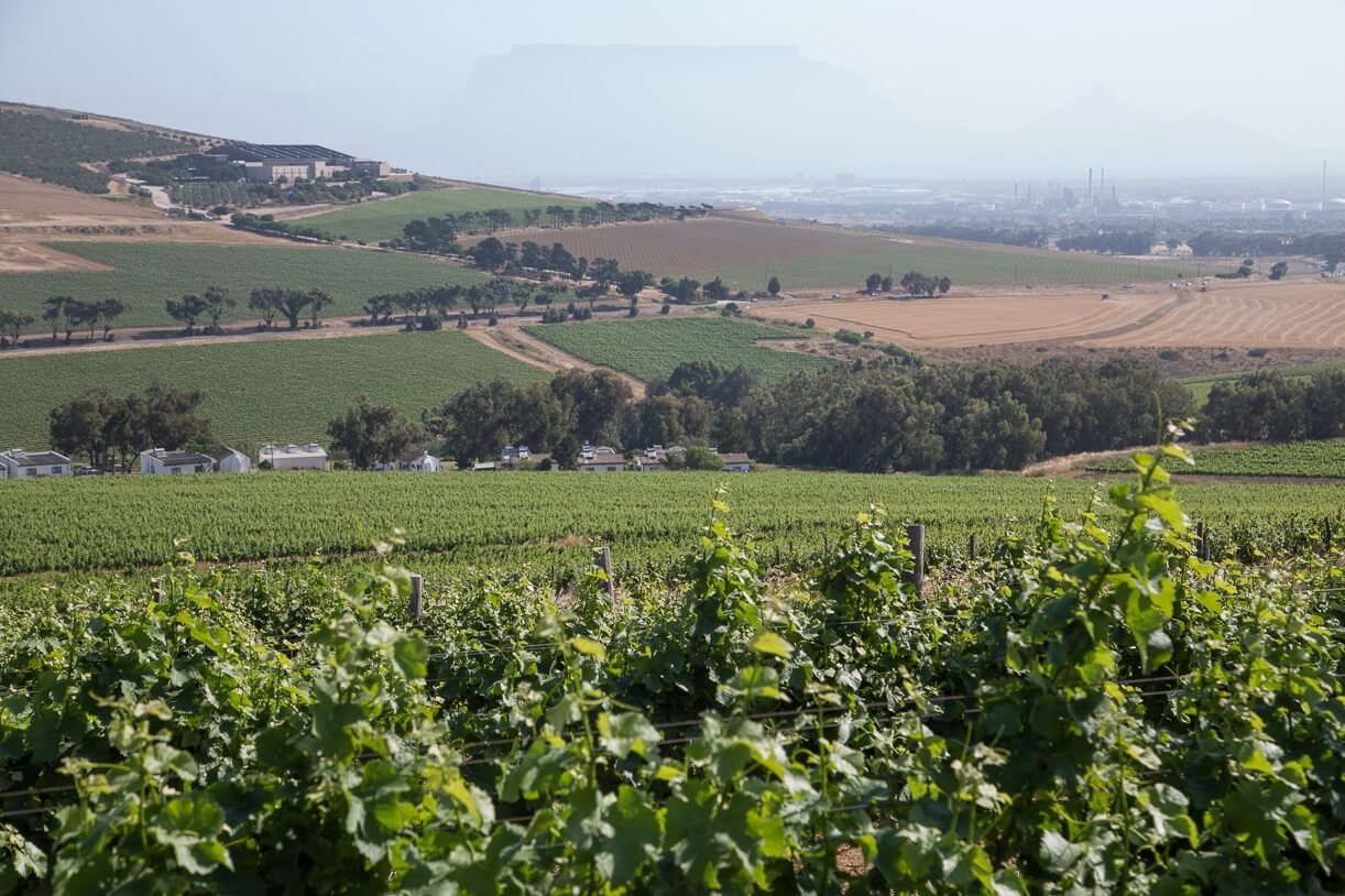 Klein Roosboom Wine Farm