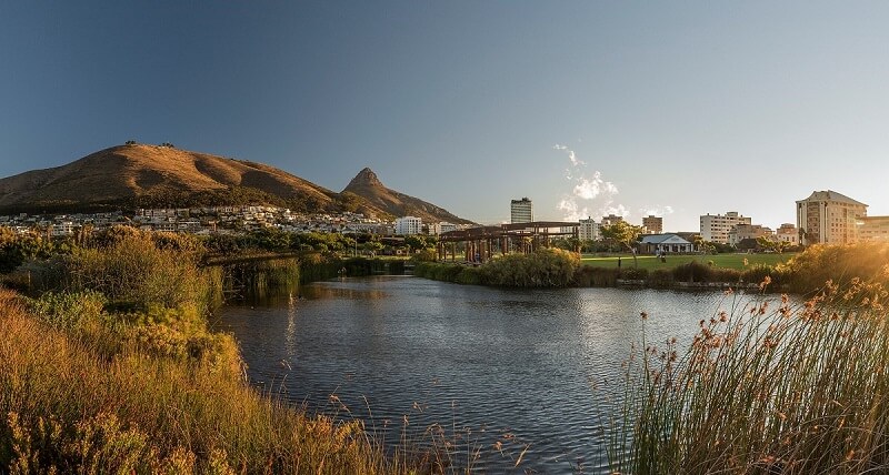 Lions Head and Signal