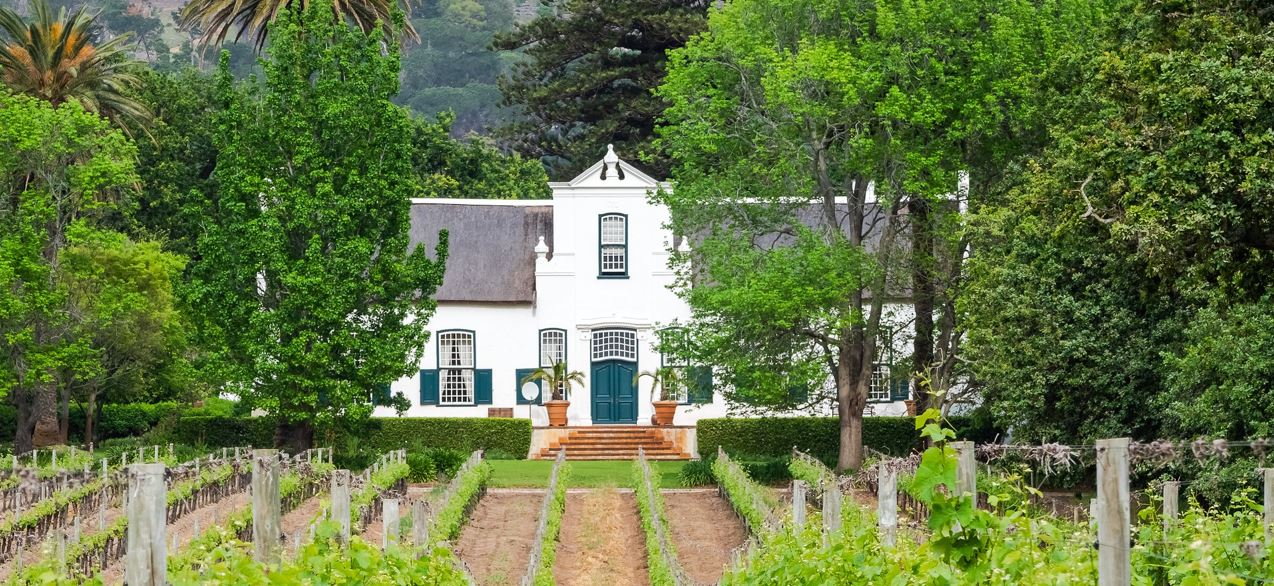 Top 7 Wine Farms To Visit In Cape Town